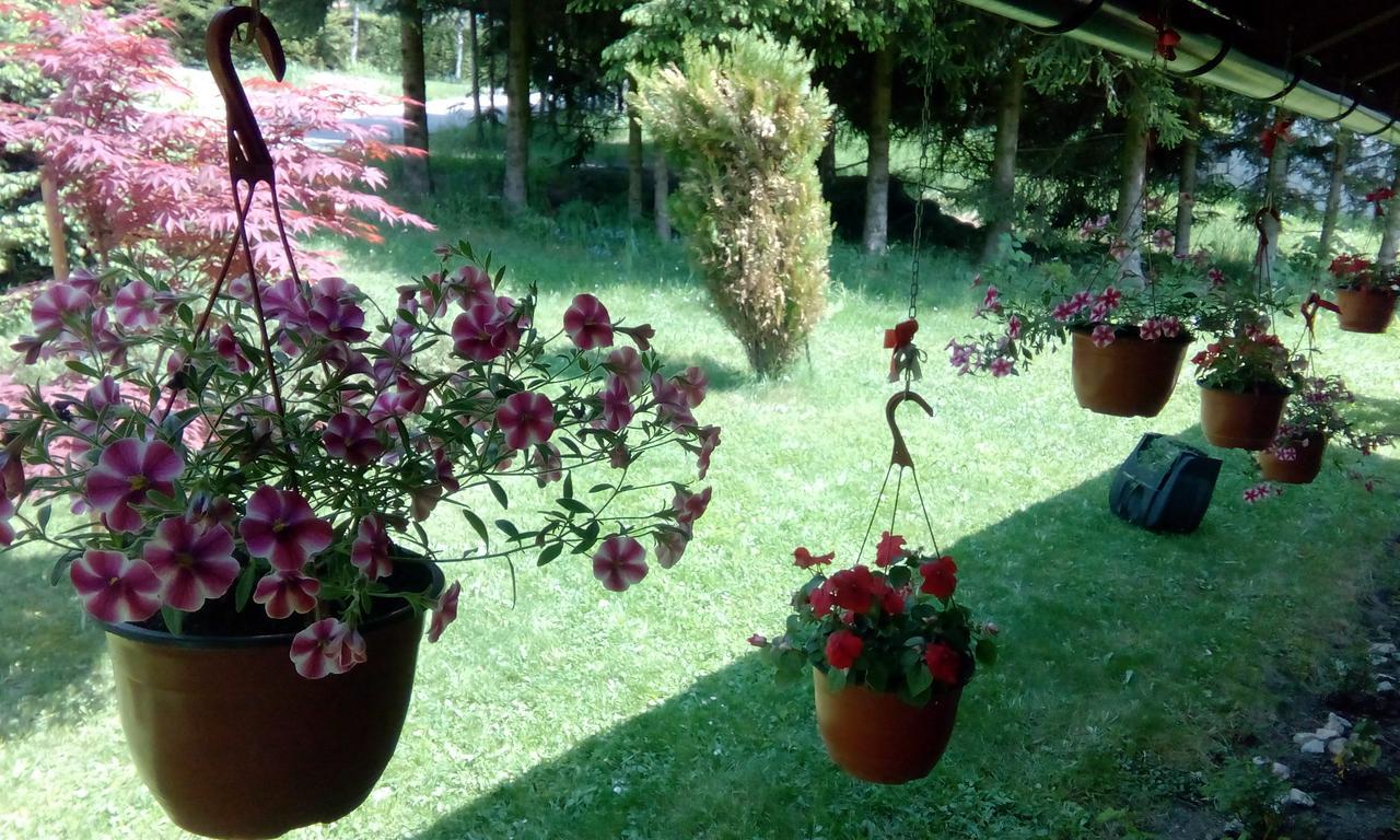 Apartmani Nais Zlatibor Exterior foto