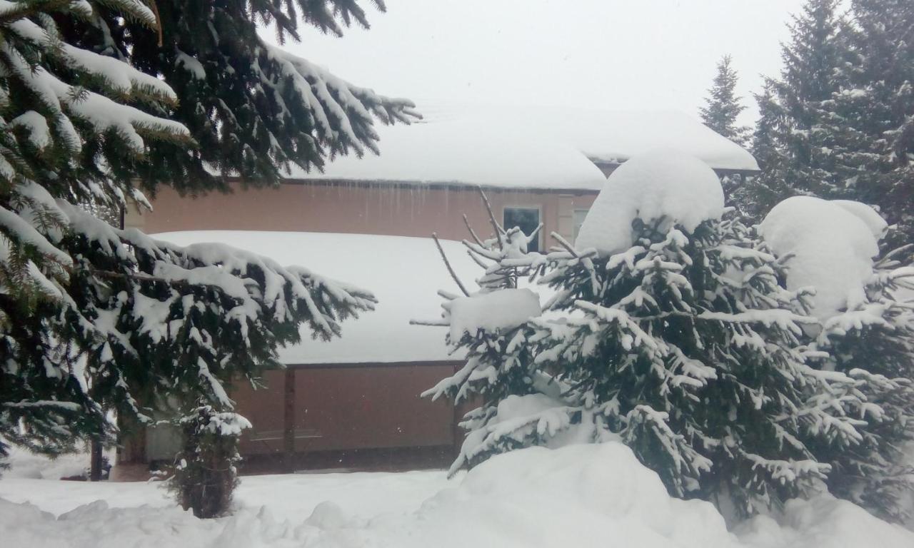 Apartmani Nais Zlatibor Exterior foto